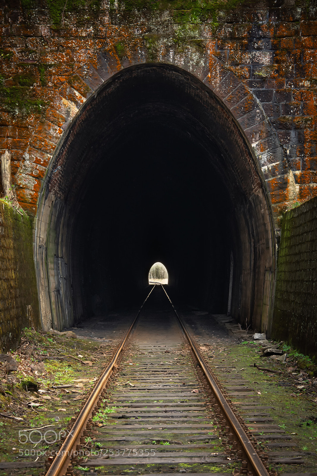 Nikon D7100 sample photo. Light in the tunnel photography