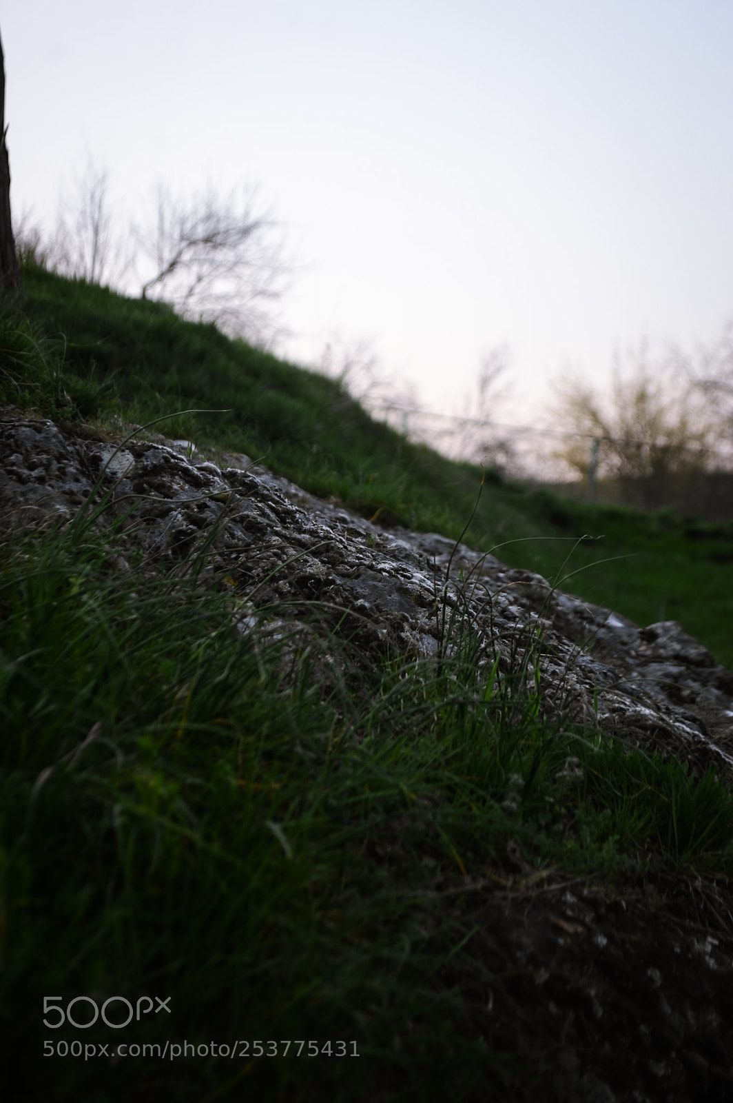Nikon D3200 sample photo. Something interesting photography