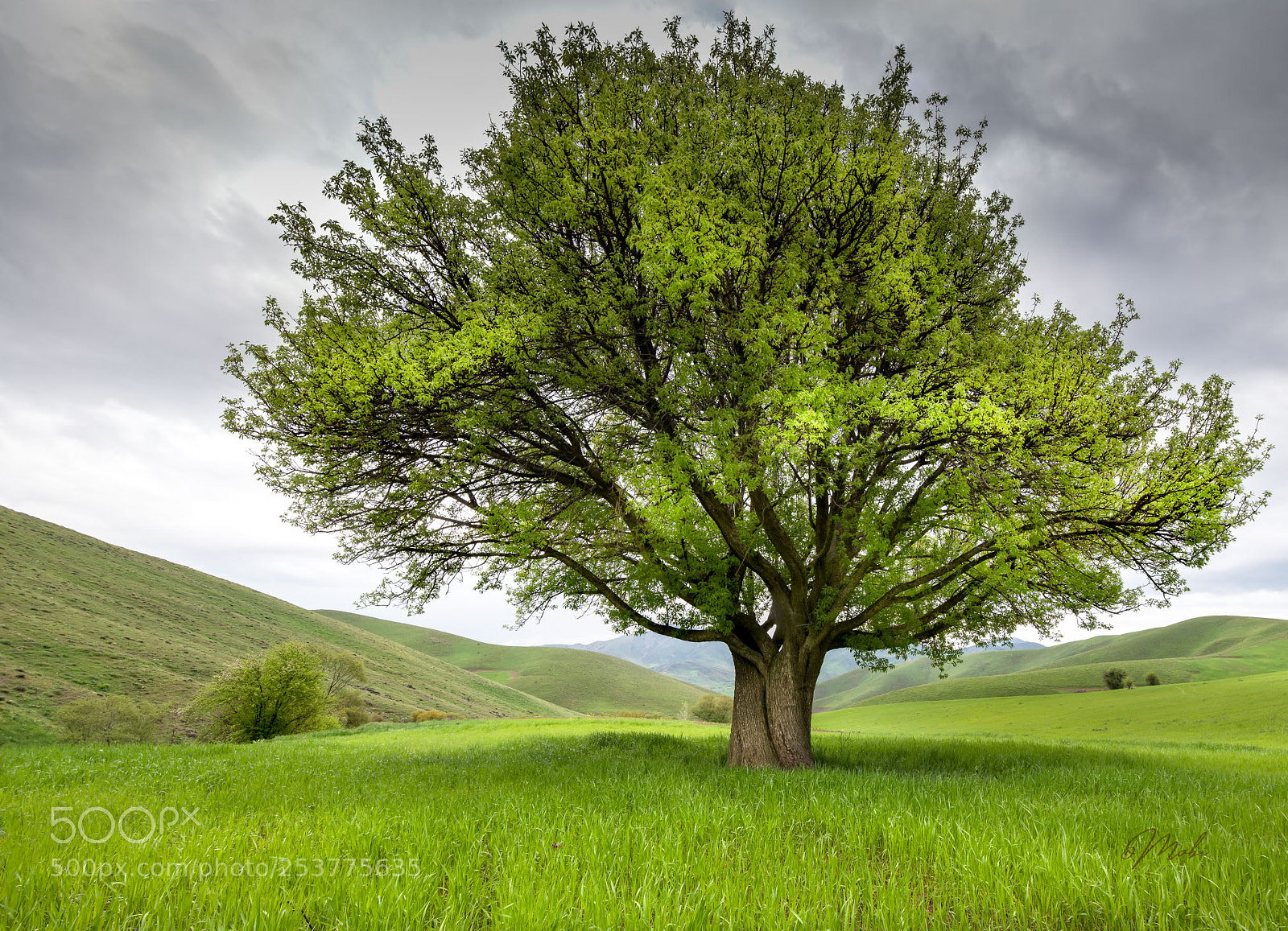 Nikon D850 sample photo. Kurdistan nature photography