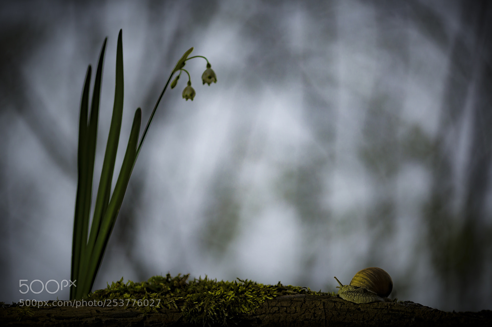 Nikon D610 sample photo. Pulley photography
