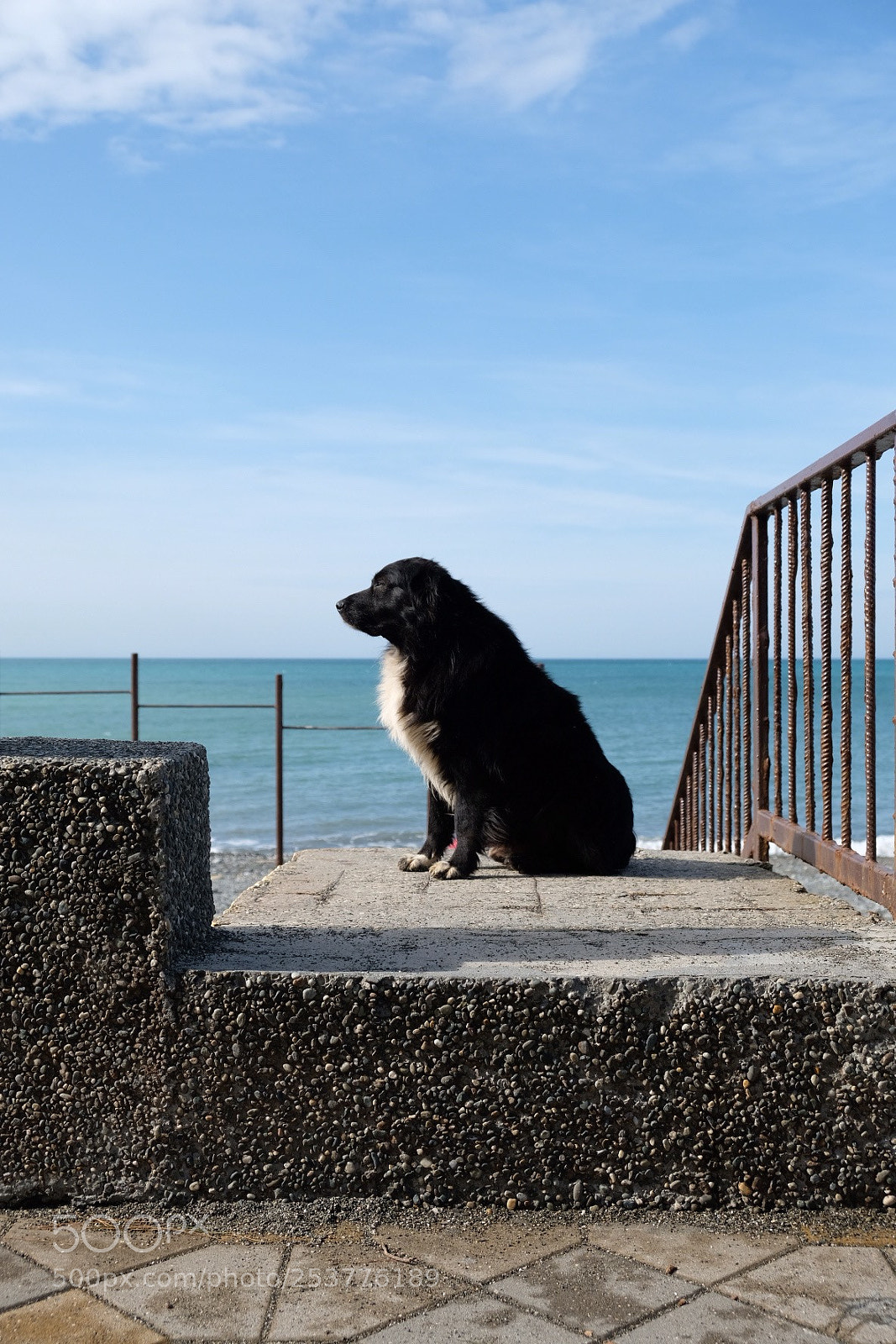 Fujifilm X-T2 sample photo. Untitled photography