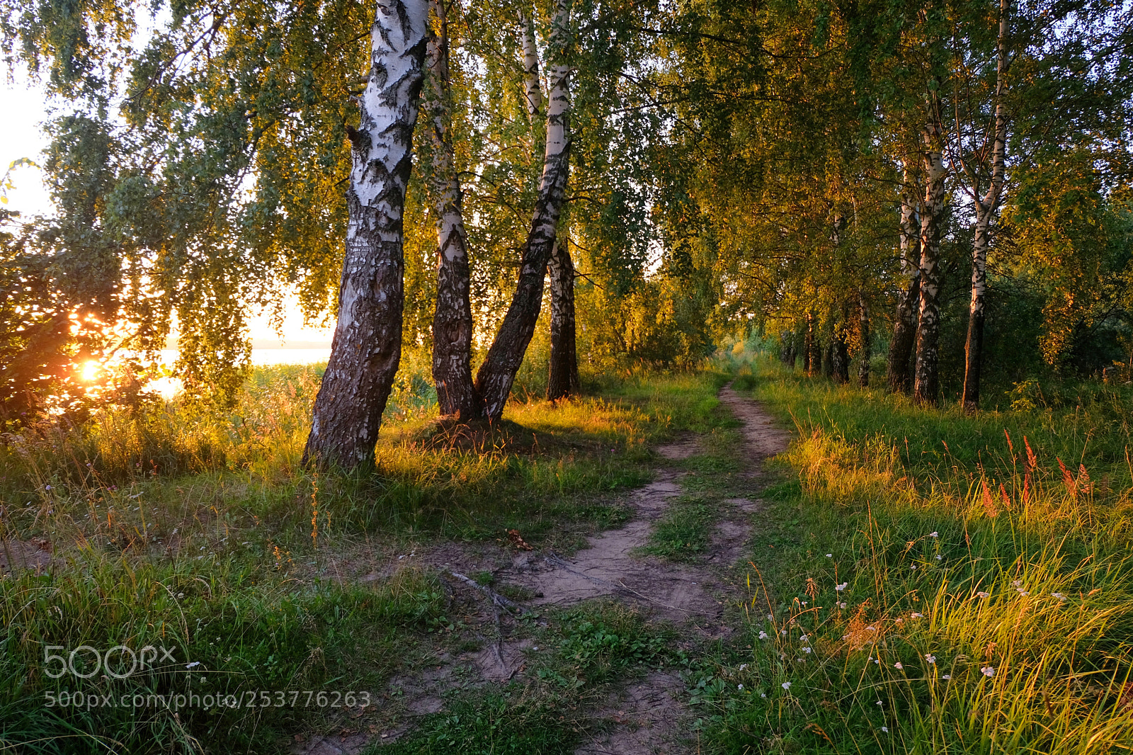 Fujifilm X-T20 sample photo. Volga sunsets.Волжские закаты photography