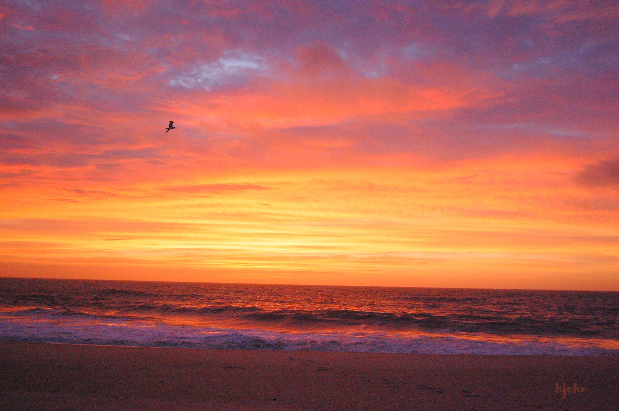 Nikon D40 sample photo. October sunrise photography