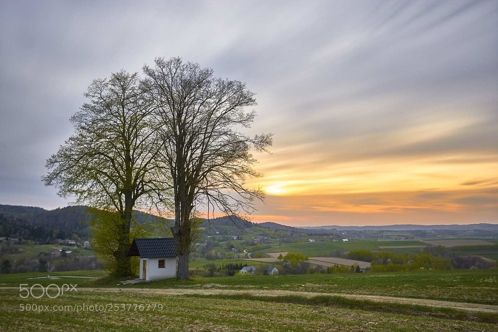 Canon EOS-1Ds Mark II sample photo. Jaszczurowa photography
