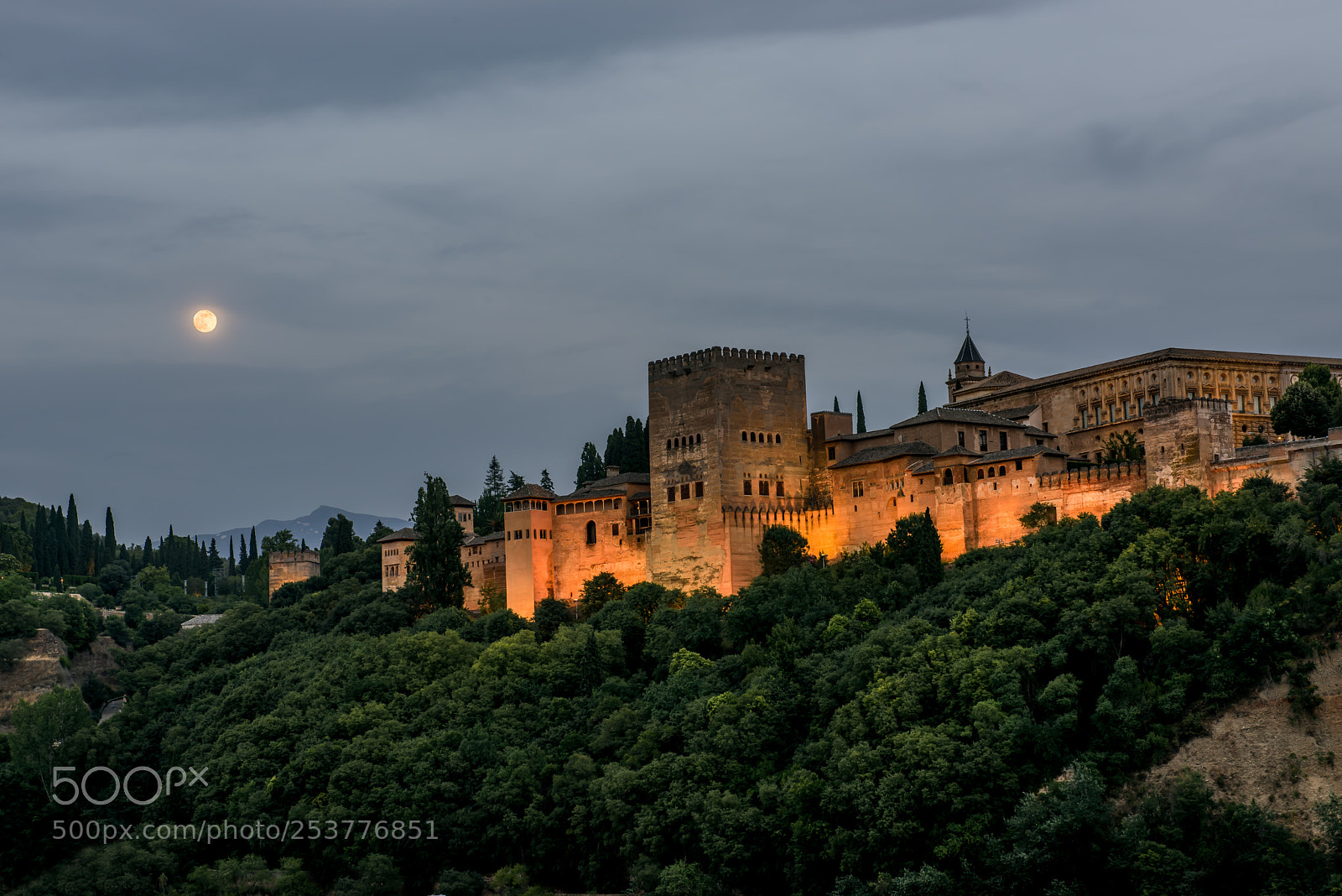 Nikon D810 sample photo. Alhambra palace illuminated by photography