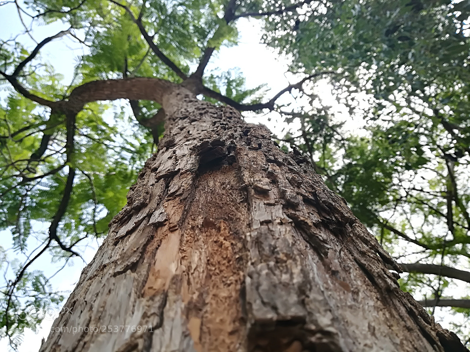 HUAWEI P10 lite sample photo. Untitled photography