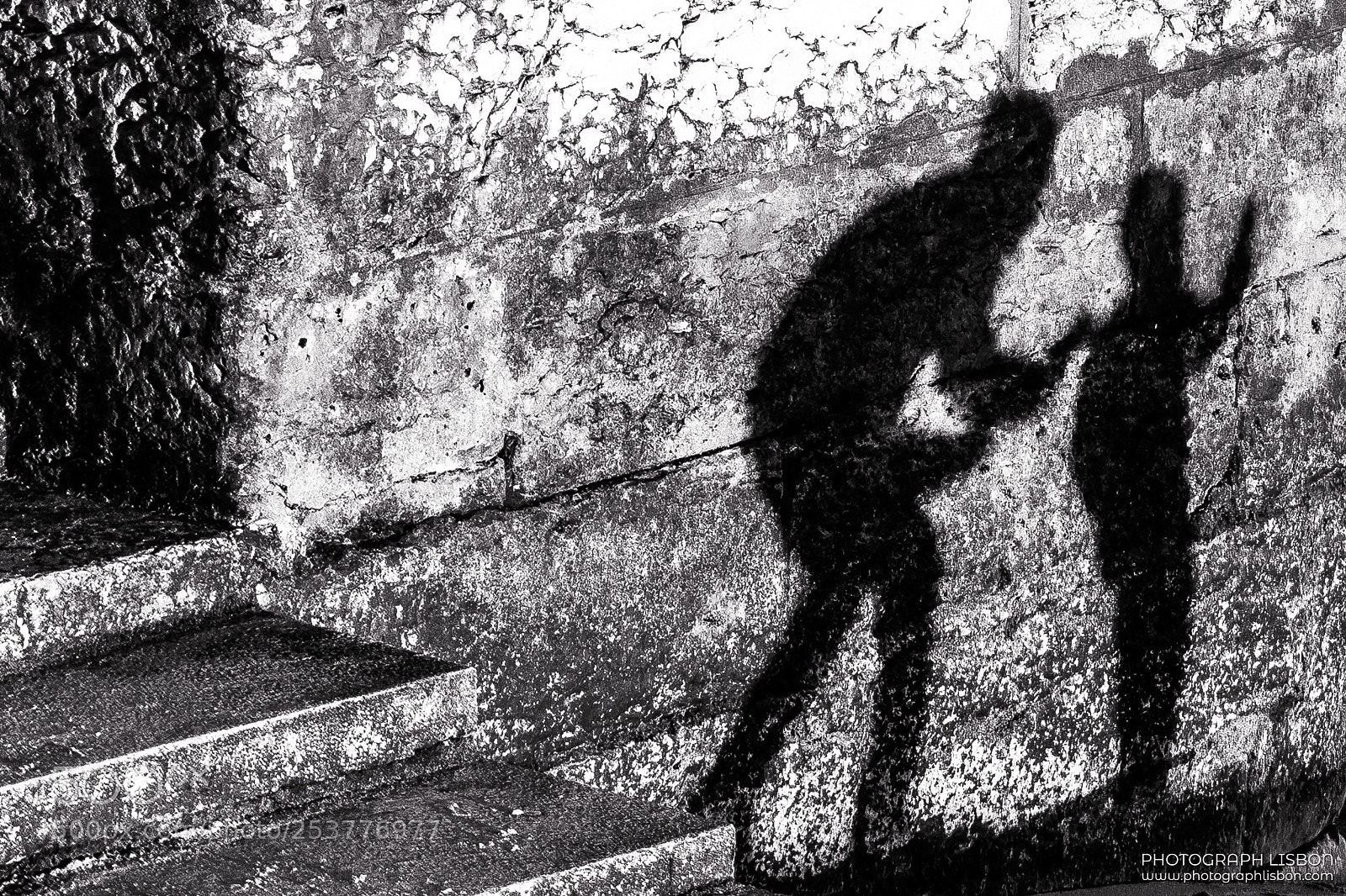 Nikon D5000 sample photo. Shadows on the wall photography
