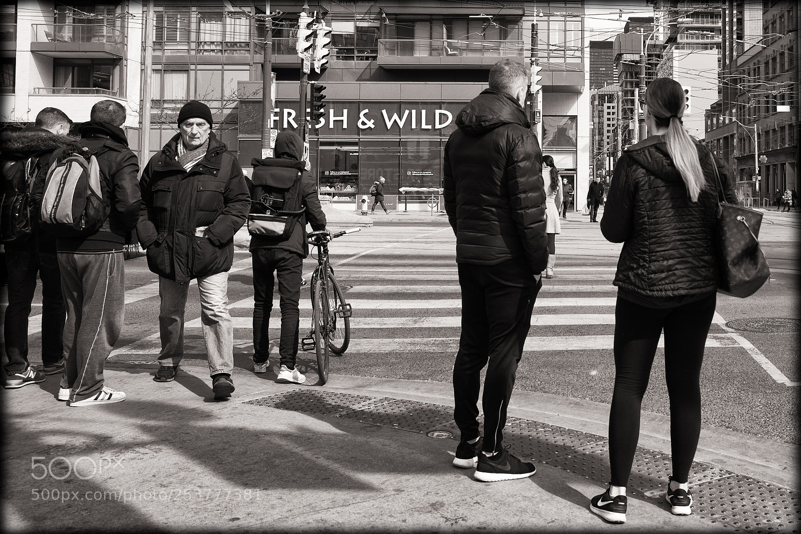 Leica Q (Typ 116) sample photo. Fresh and wild photography
