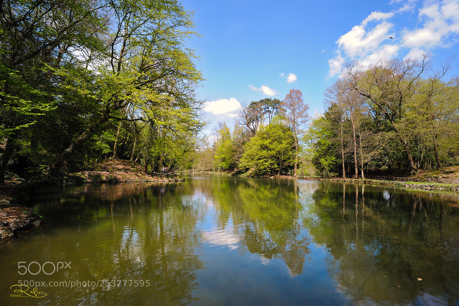 Nikon D3 sample photo. Giardini reali lake photography