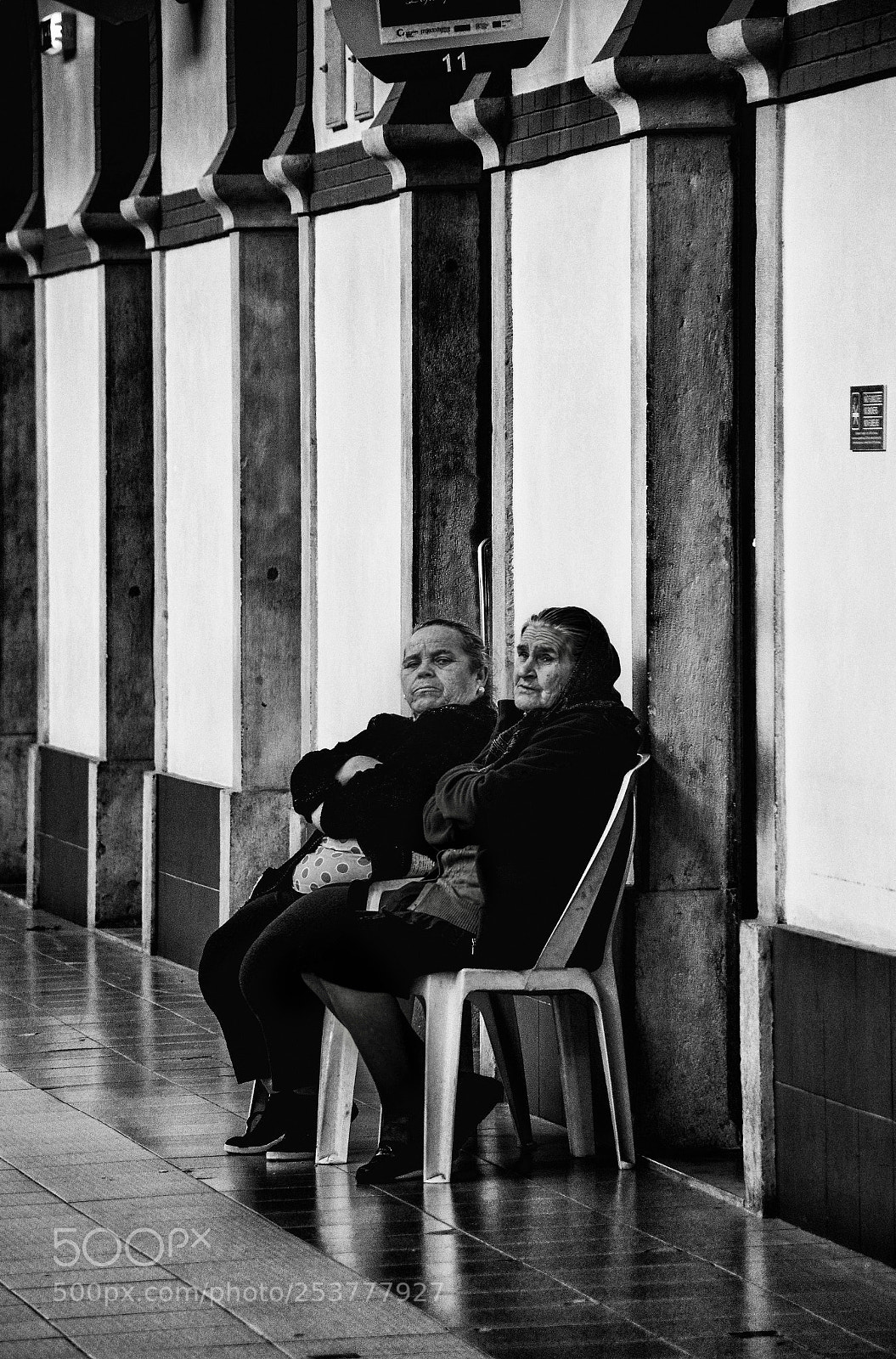 Nikon D5200 sample photo. Being observed in aveiro... photography