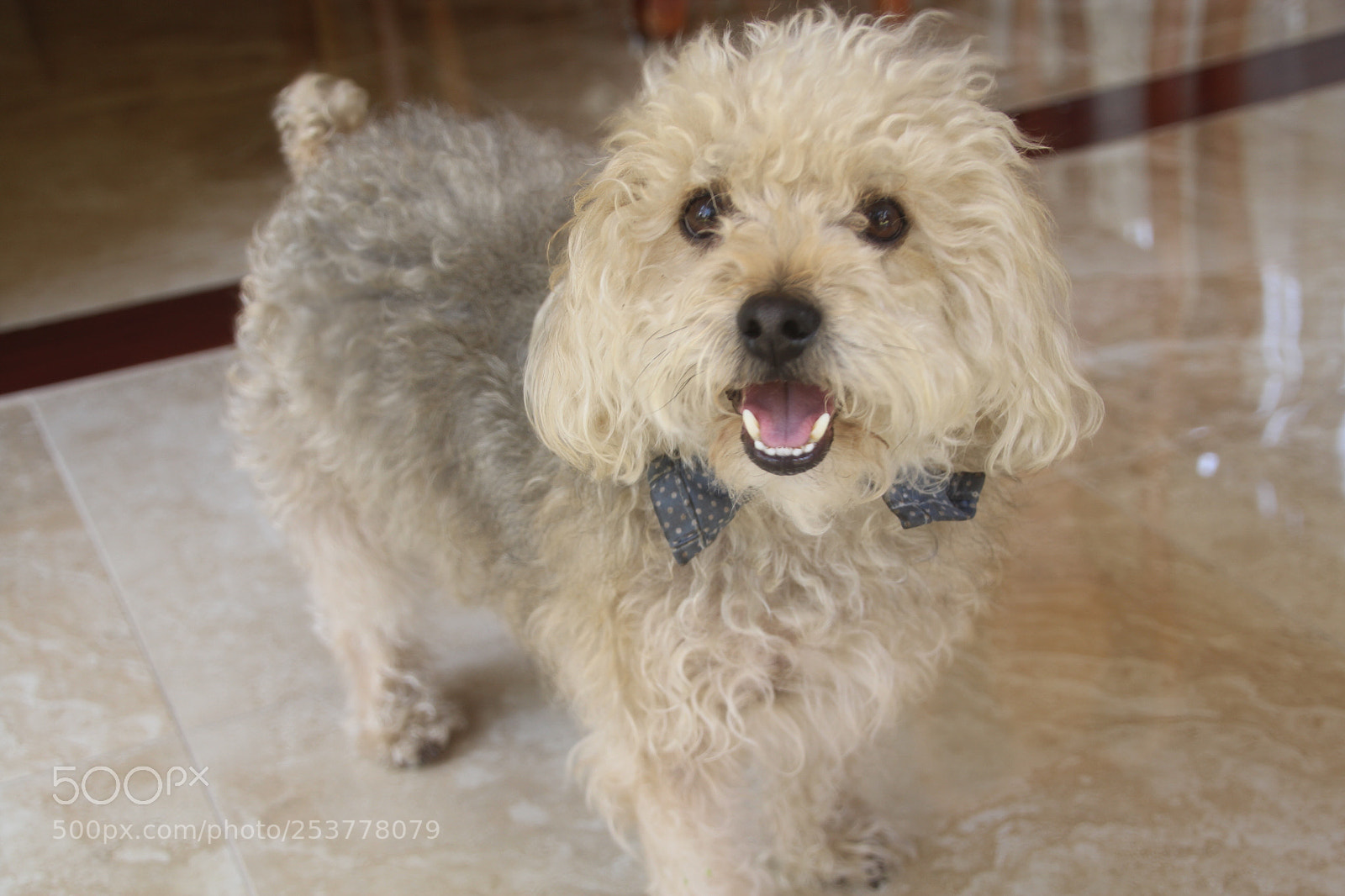 Canon EOS 600D (Rebel EOS T3i / EOS Kiss X5) sample photo. Lukas  photography
