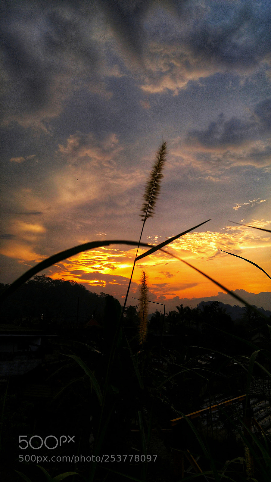 LG G4 sample photo. Untitled photography