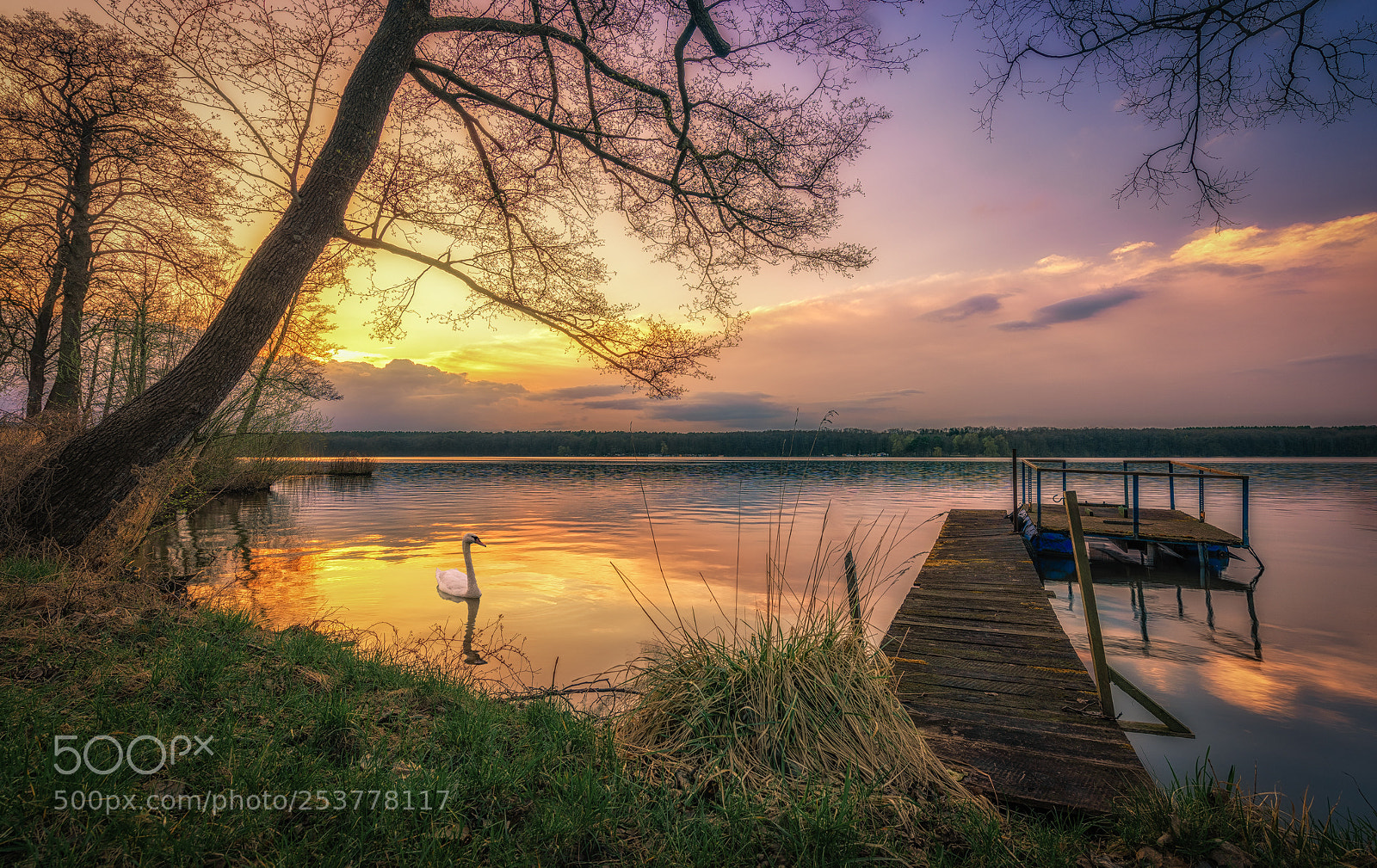 Nikon D810 sample photo. Golden moment photography