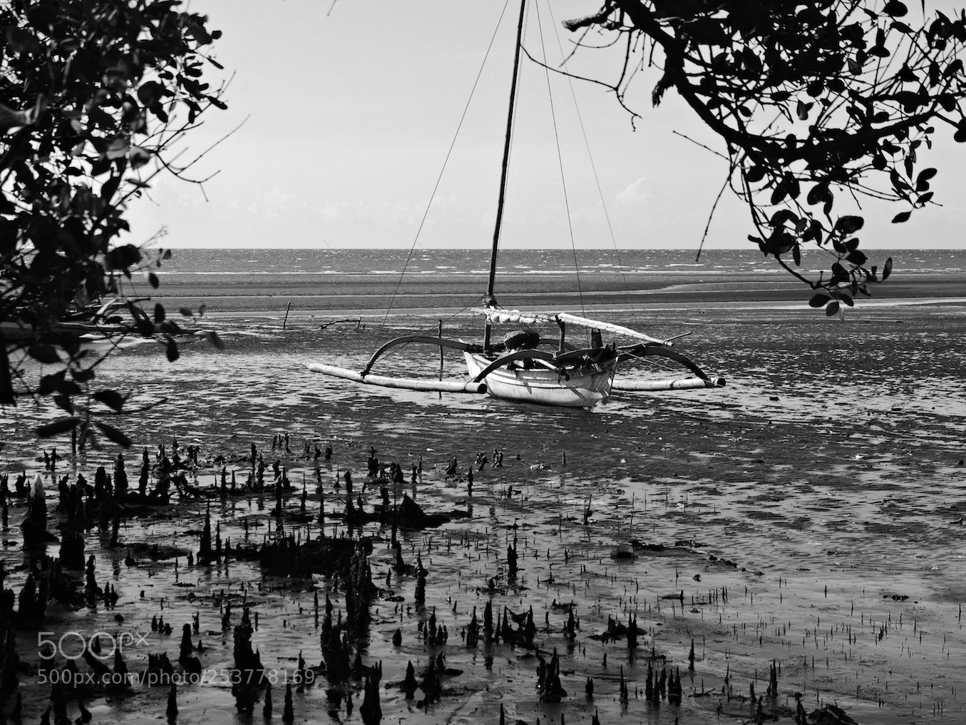 Panasonic Lumix DMC-GH4 sample photo. East java / indonesia photography