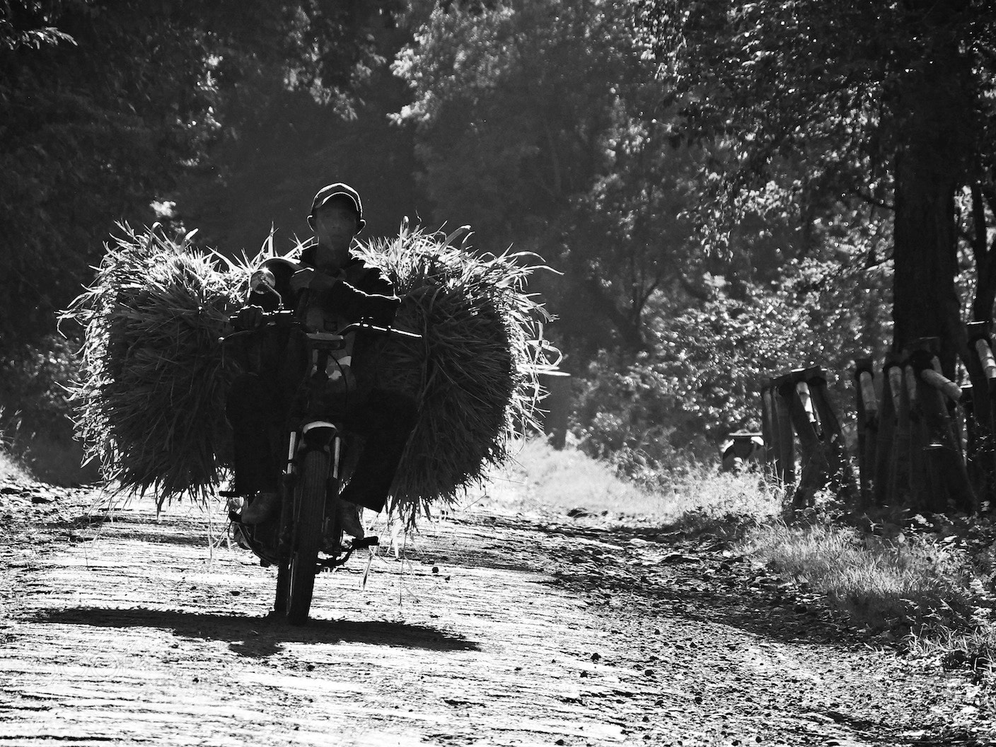 Panasonic Lumix DMC-GH4 sample photo. East java / indonesia photography