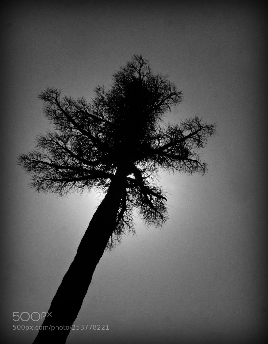 Panasonic Lumix DMC-GH4 sample photo. East java / indonesia photography