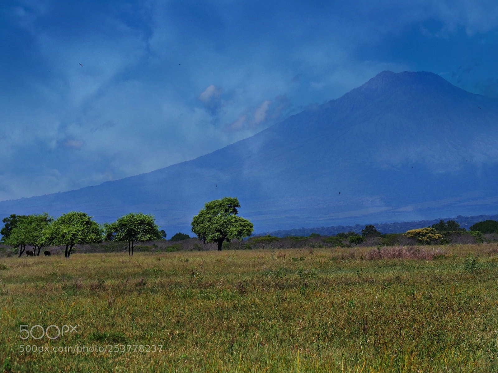 Panasonic Lumix DMC-GH4 sample photo. East java / indonesia photography
