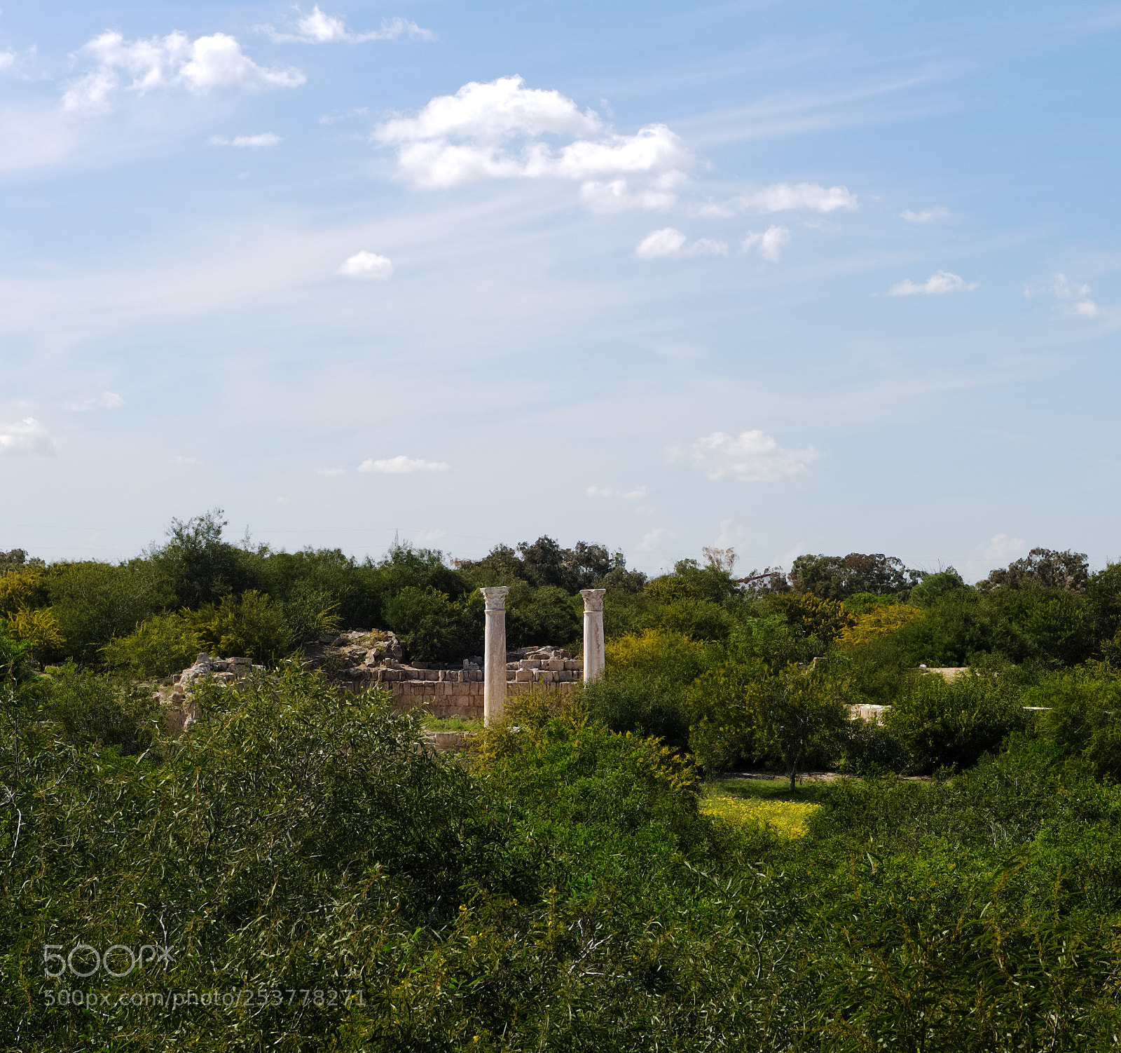 Nikon D700 sample photo. Salamis photography