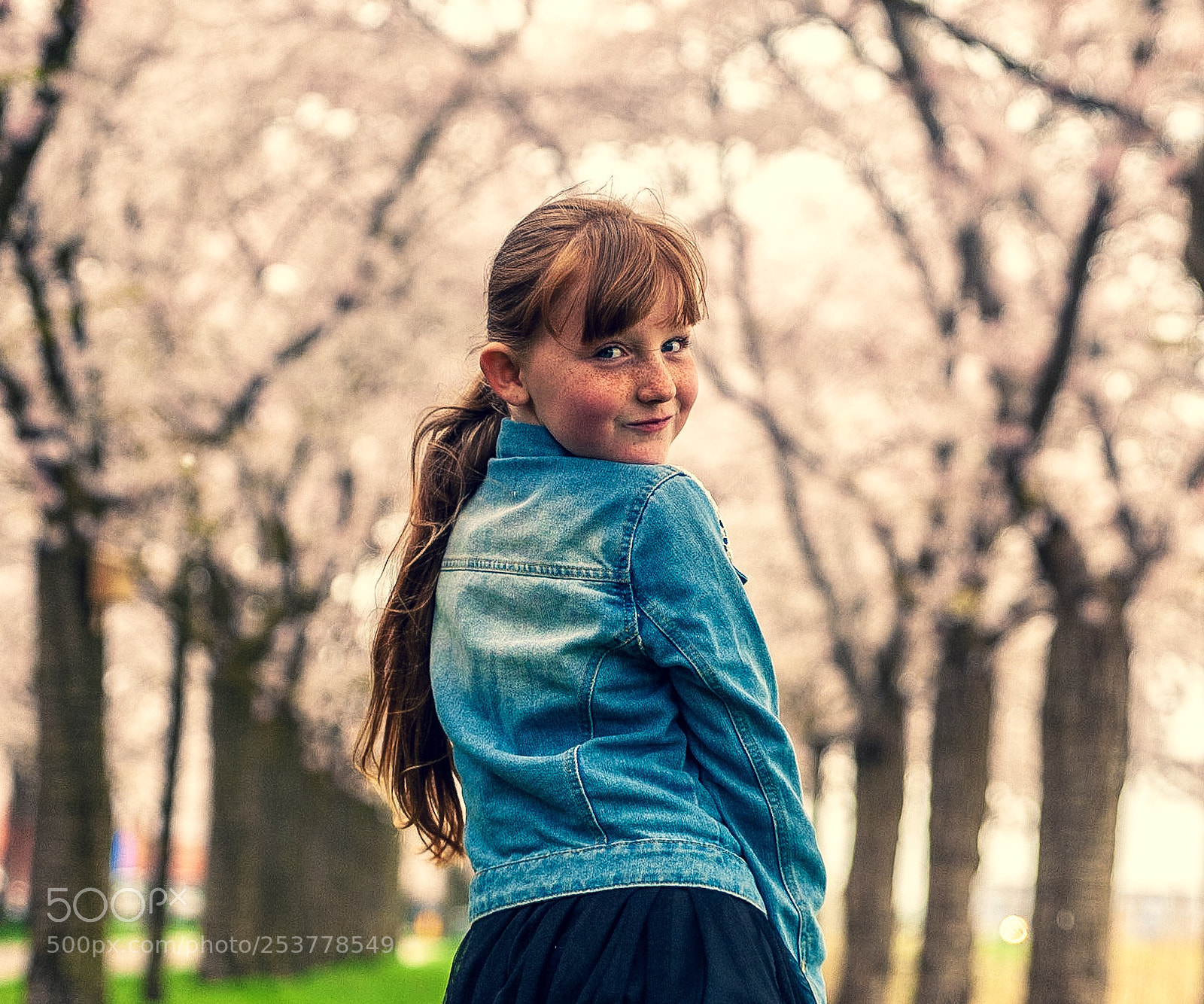Nikon D700 sample photo. Spring is here photography