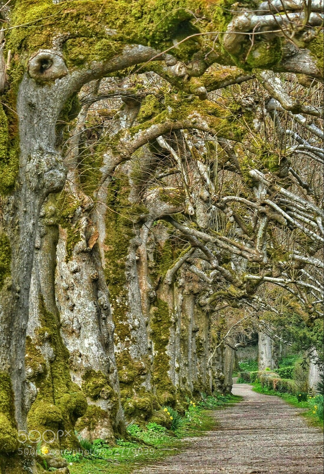 Nikon D3400 sample photo. Untitled photography