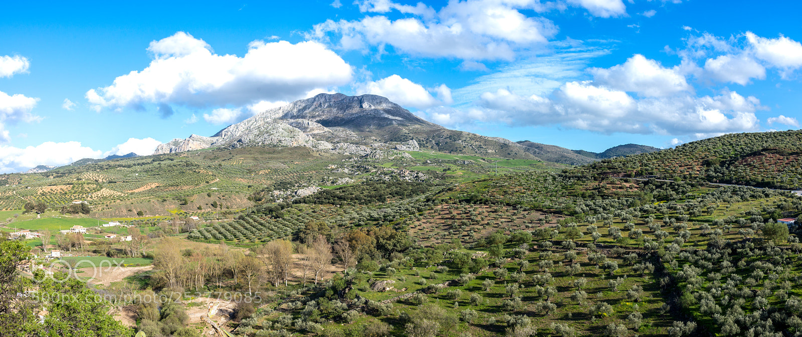 Nikon D610 sample photo. Andalucia photography