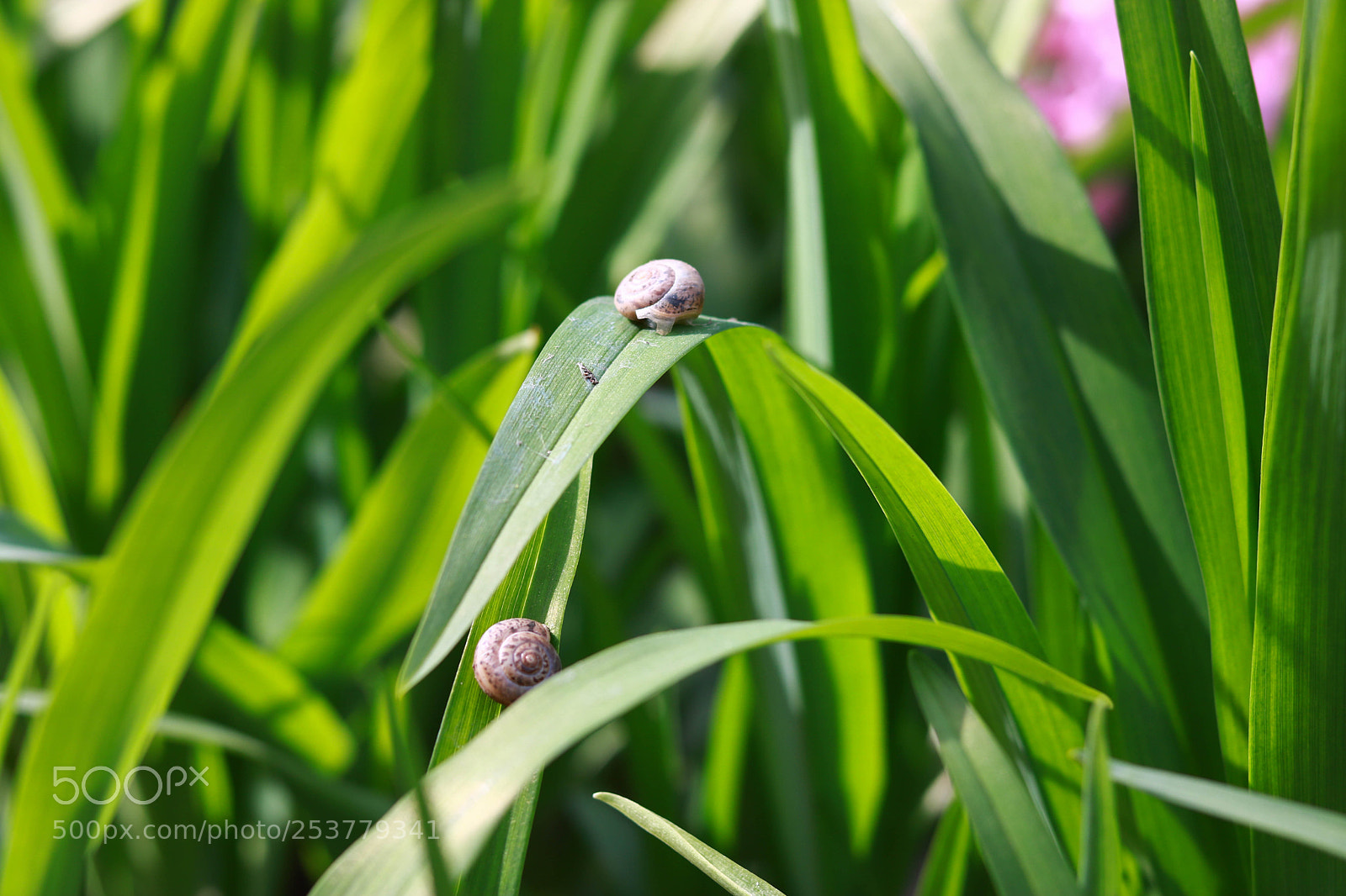 Canon EOS 760D (EOS Rebel T6s / EOS 8000D) sample photo. Img photography
