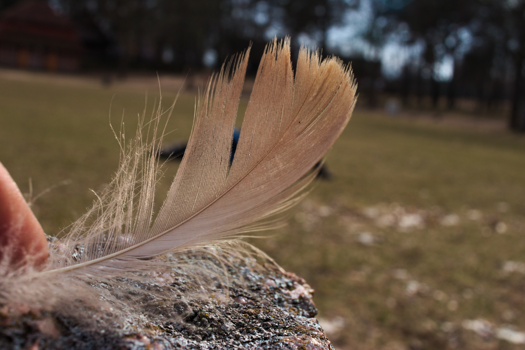 Canon EF-S 24mm F2.8 STM sample photo
