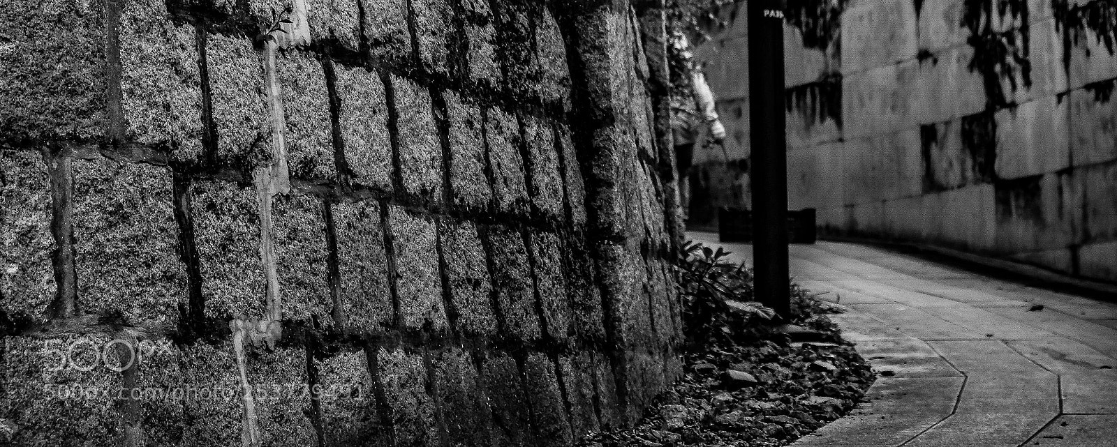 Fujifilm X-T20 sample photo. Go to work photography