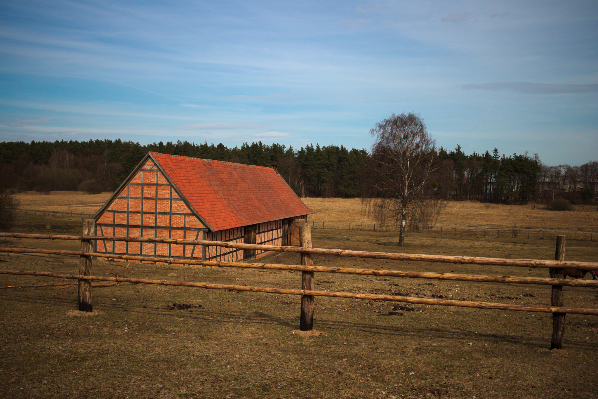 Canon EF-S 24mm F2.8 STM sample photo