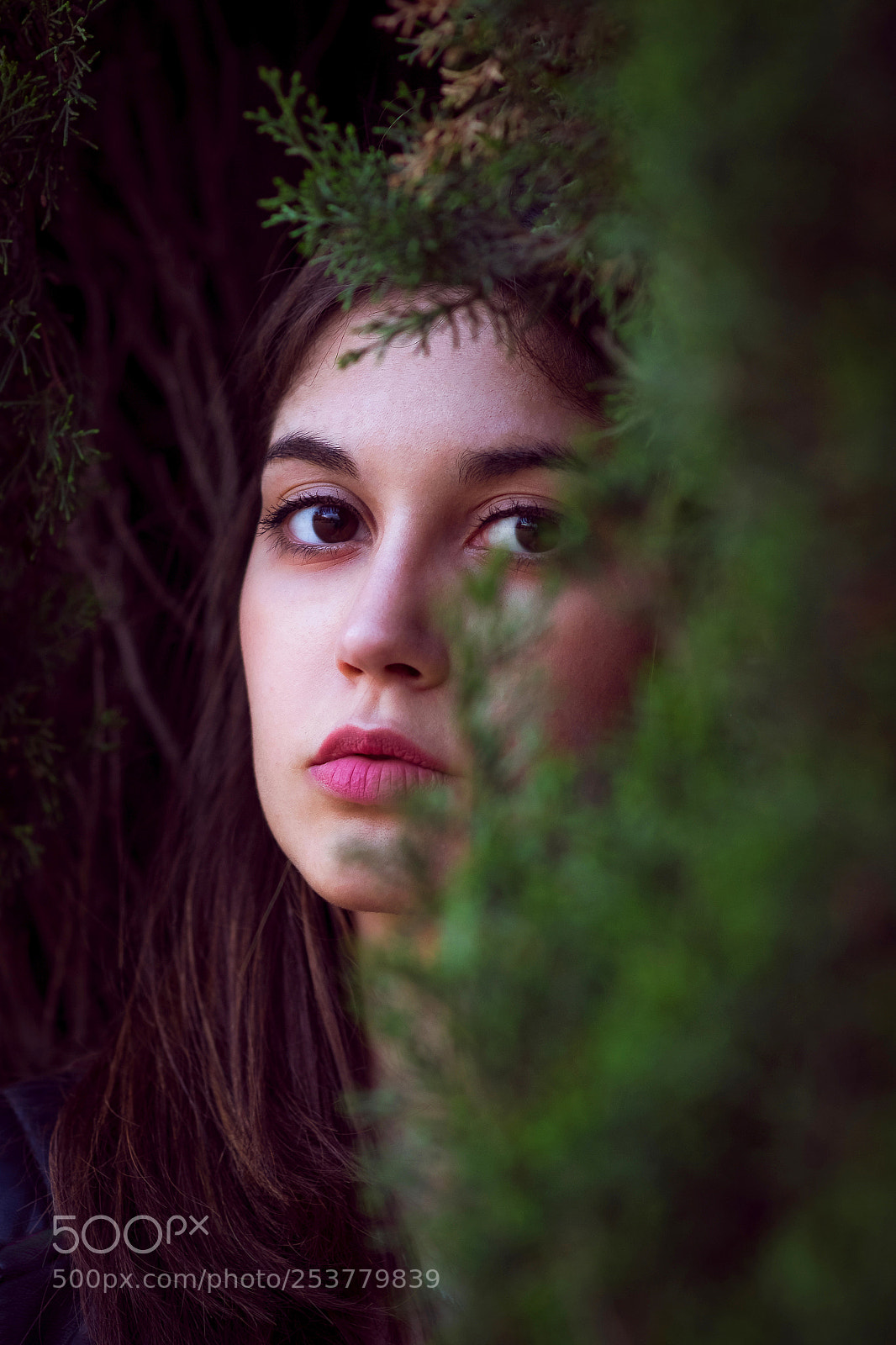 Fujifilm X-T10 sample photo. [new model]: aida photography