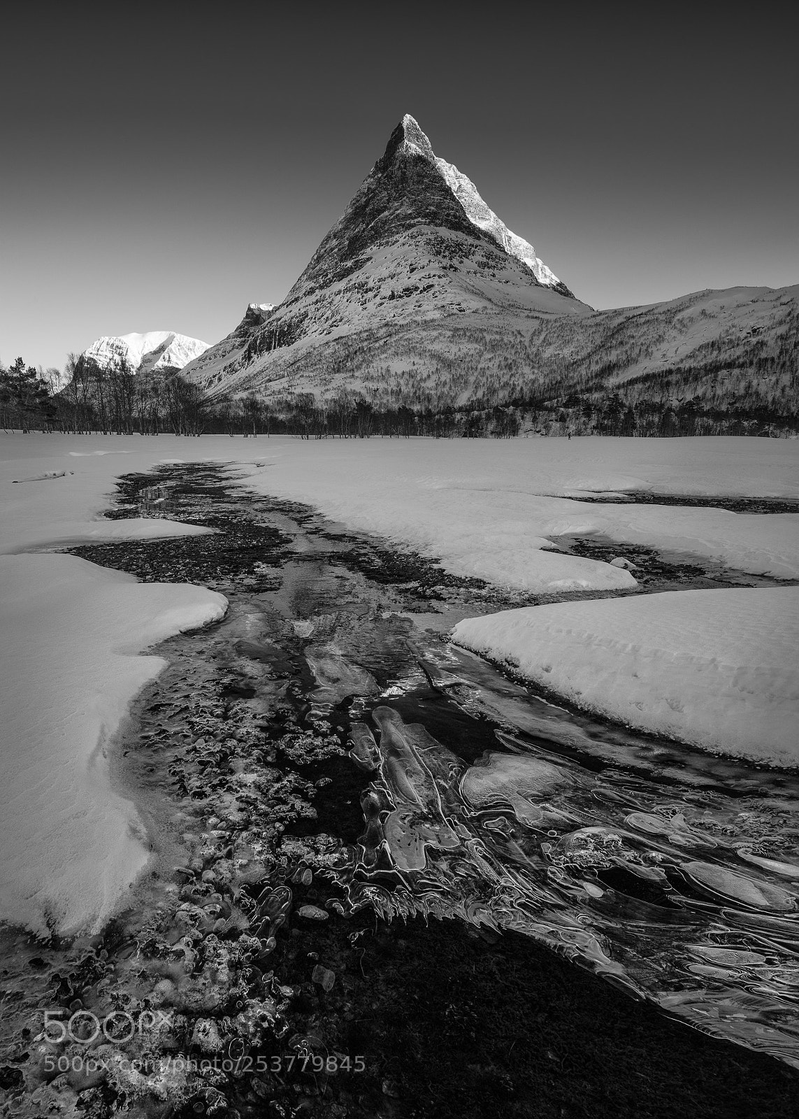 Nikon D810 sample photo. The tower photography