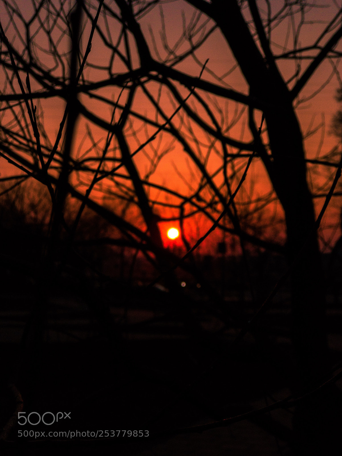 Apple iPhone 7 Plus sample photo. Iphonography. sunset photography