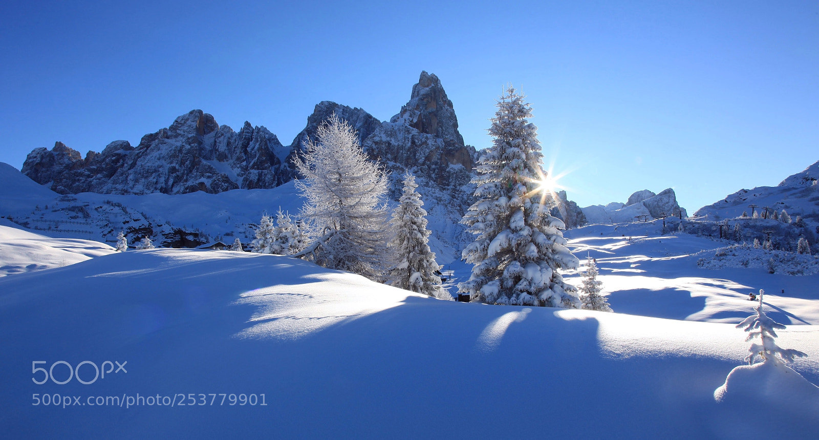 Canon EOS 5D Mark II sample photo. Passo rolle | dolomiti photography