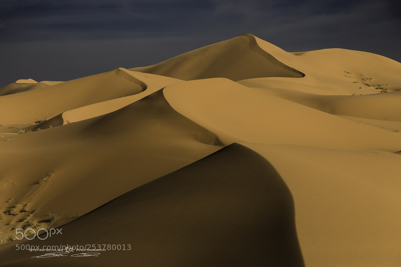 Canon EOS 5D Mark IV sample photo. Desert waves photography