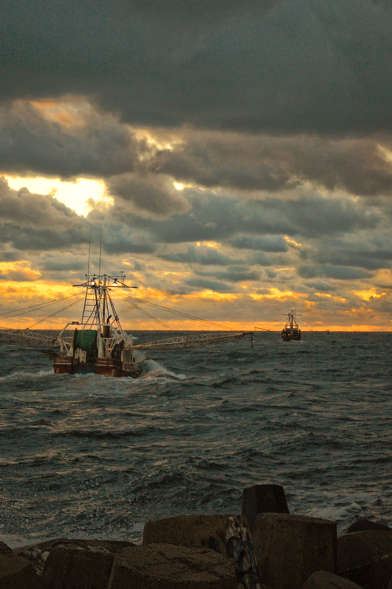 Nikon D40 sample photo. Going to work photography