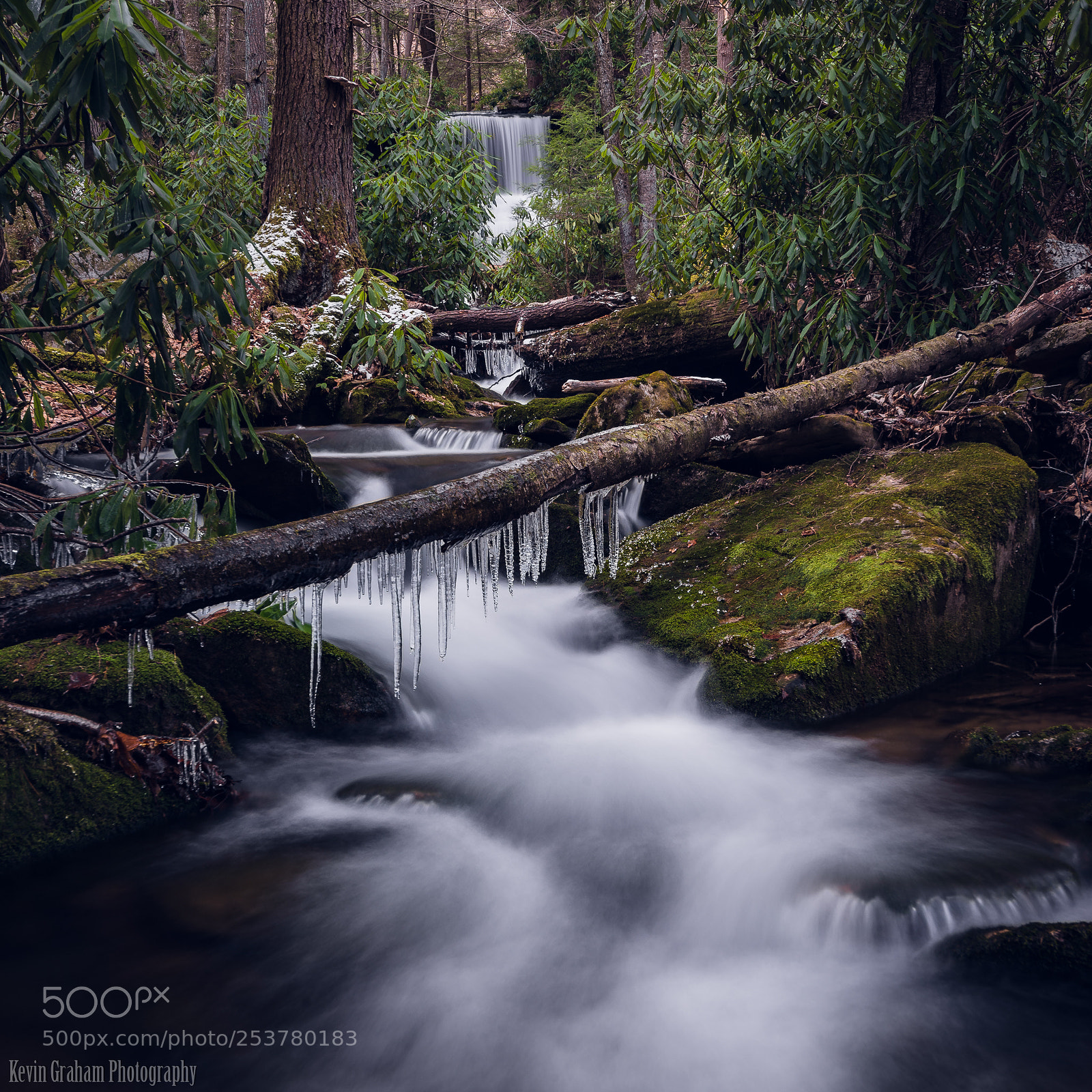 Nikon D610 sample photo. Down stream photography
