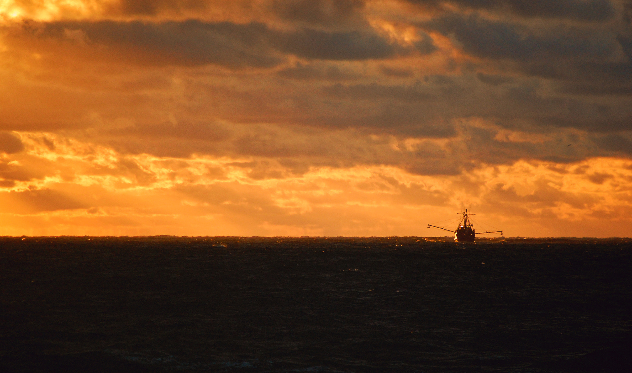 Nikon D40 sample photo. Cfboatsr photography