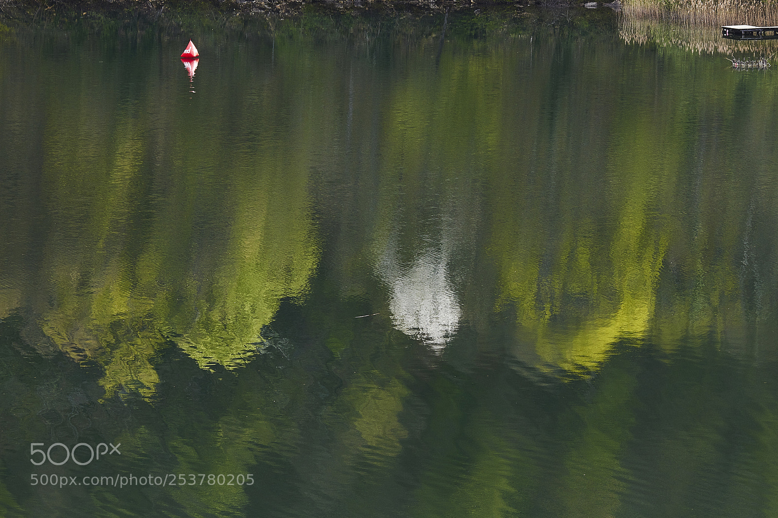 Canon EOS 7D sample photo. Between real and pastel photography