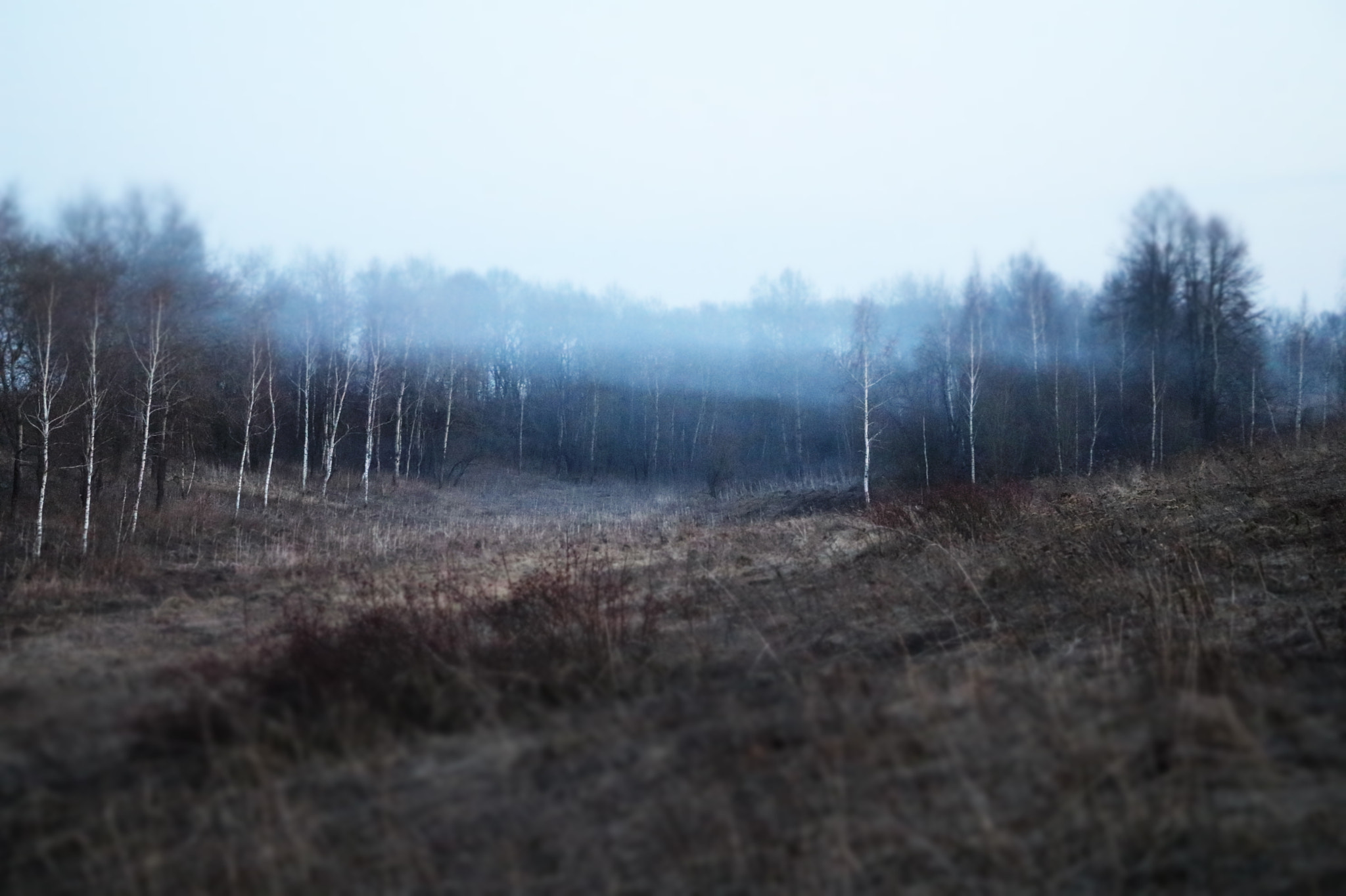 Canon EOS 80D sample photo. Дым.... photography