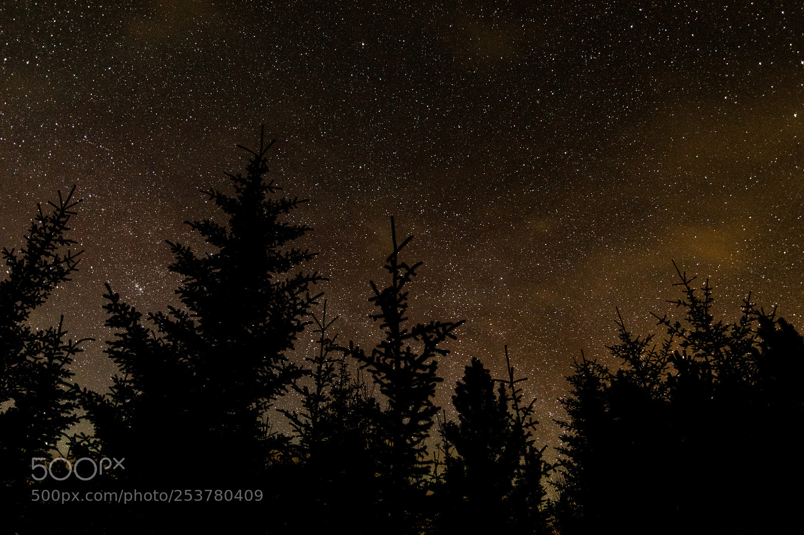 Nikon D5300 sample photo. A starry night in photography