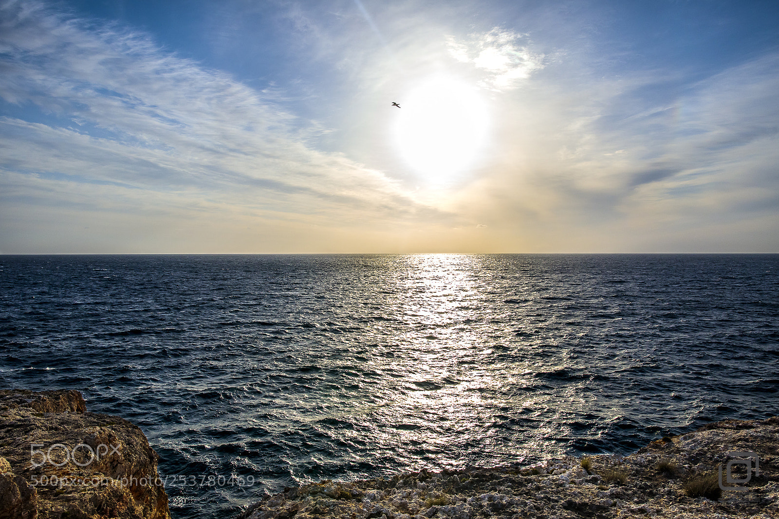 Canon EOS 5D Mark IV sample photo. Ave fénix photography