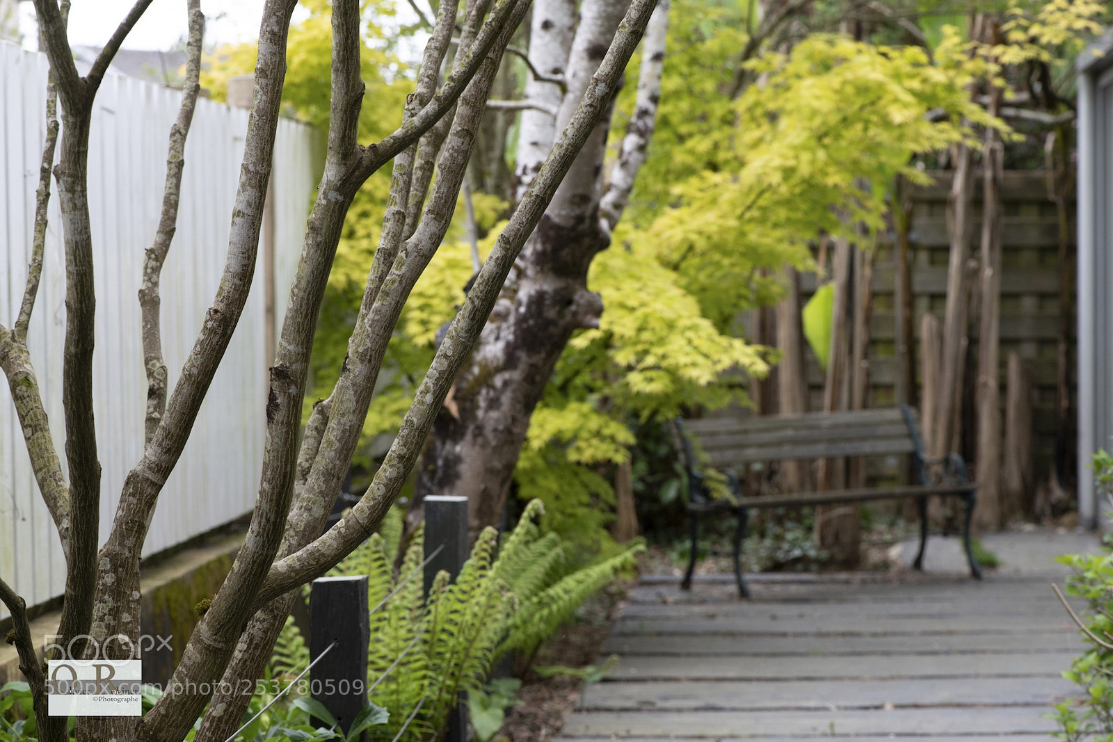 Nikon D850 sample photo. Jardin imp photography