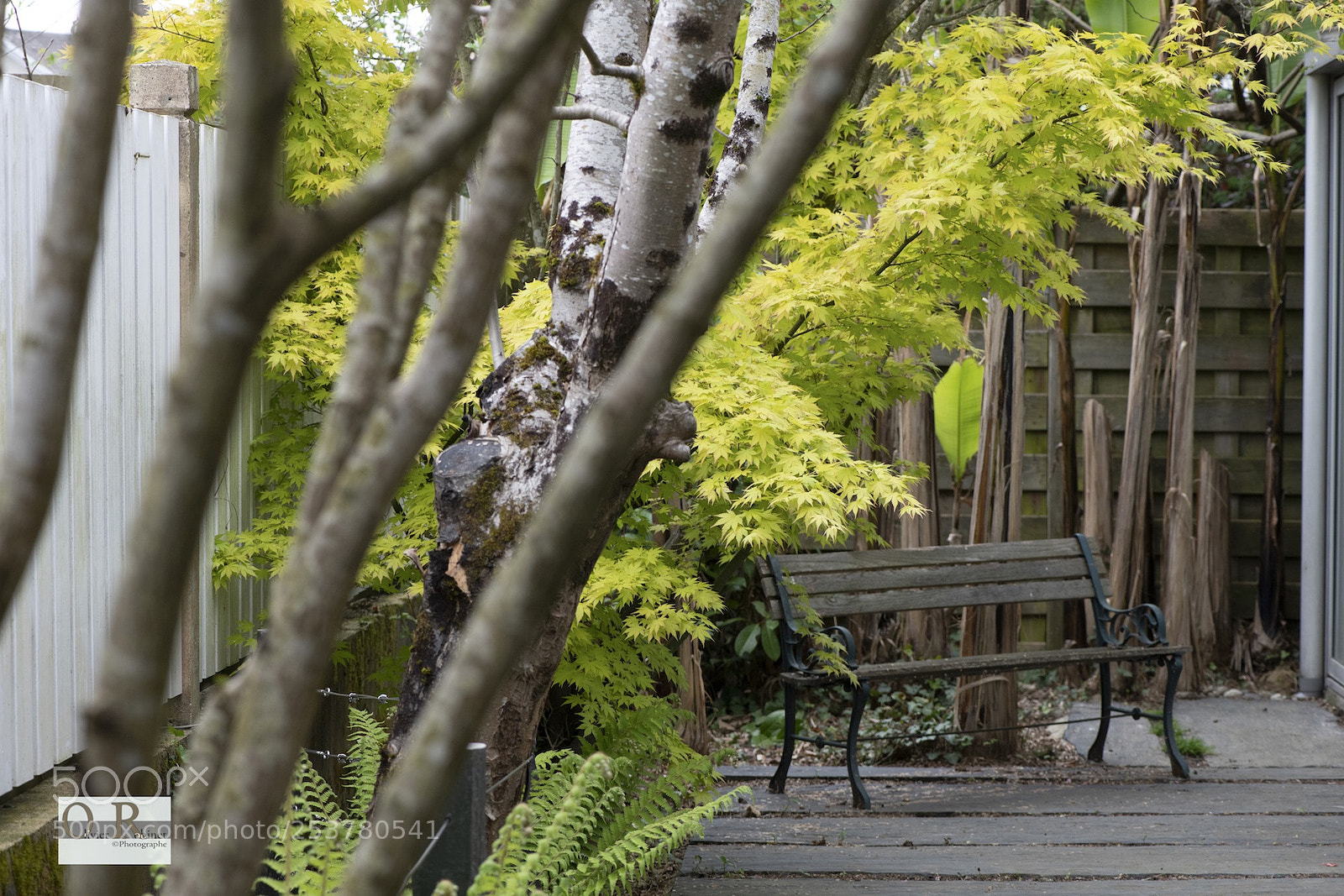 Nikon D850 sample photo. Jardin imp photography