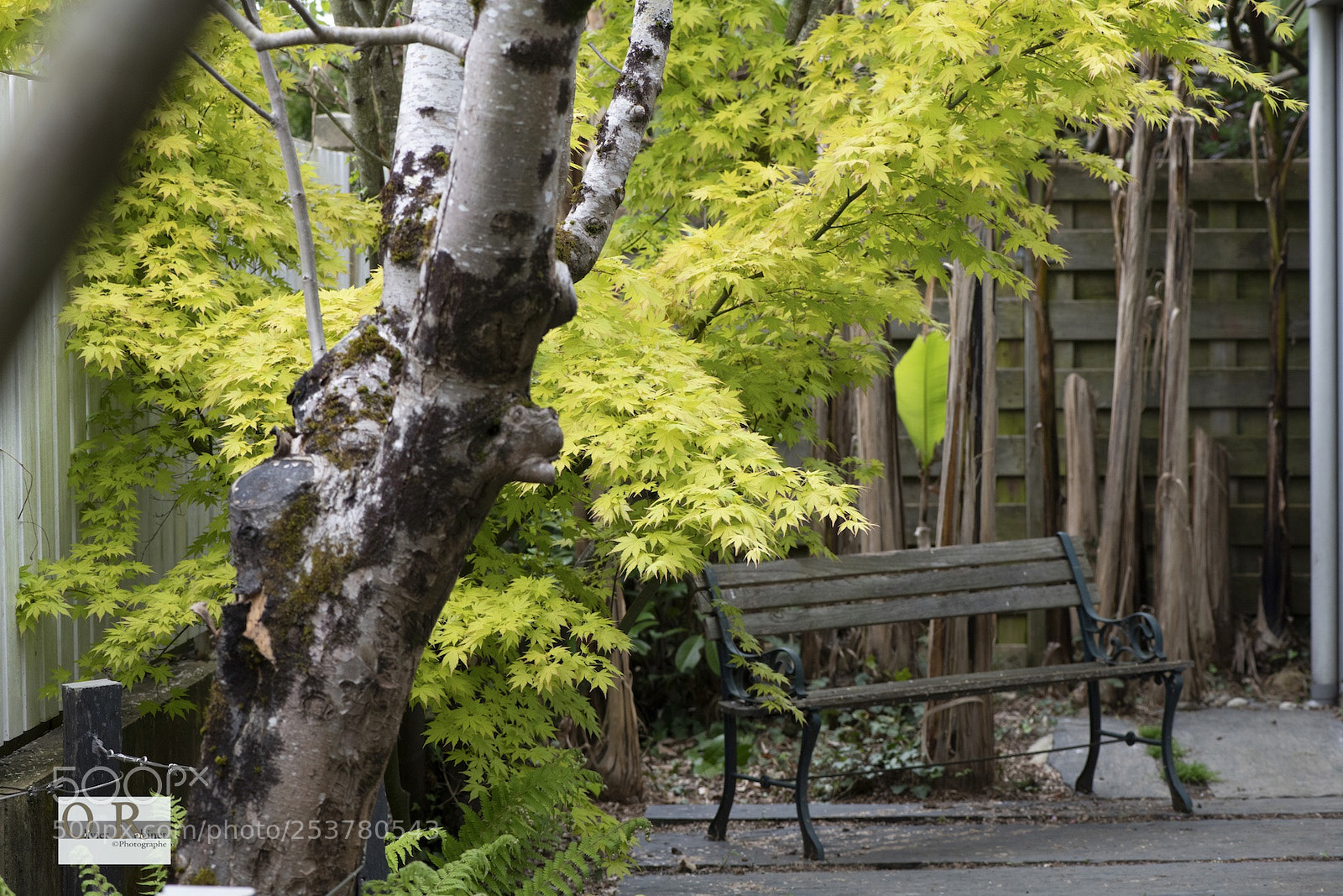 Nikon D850 sample photo. Jardin imp photography