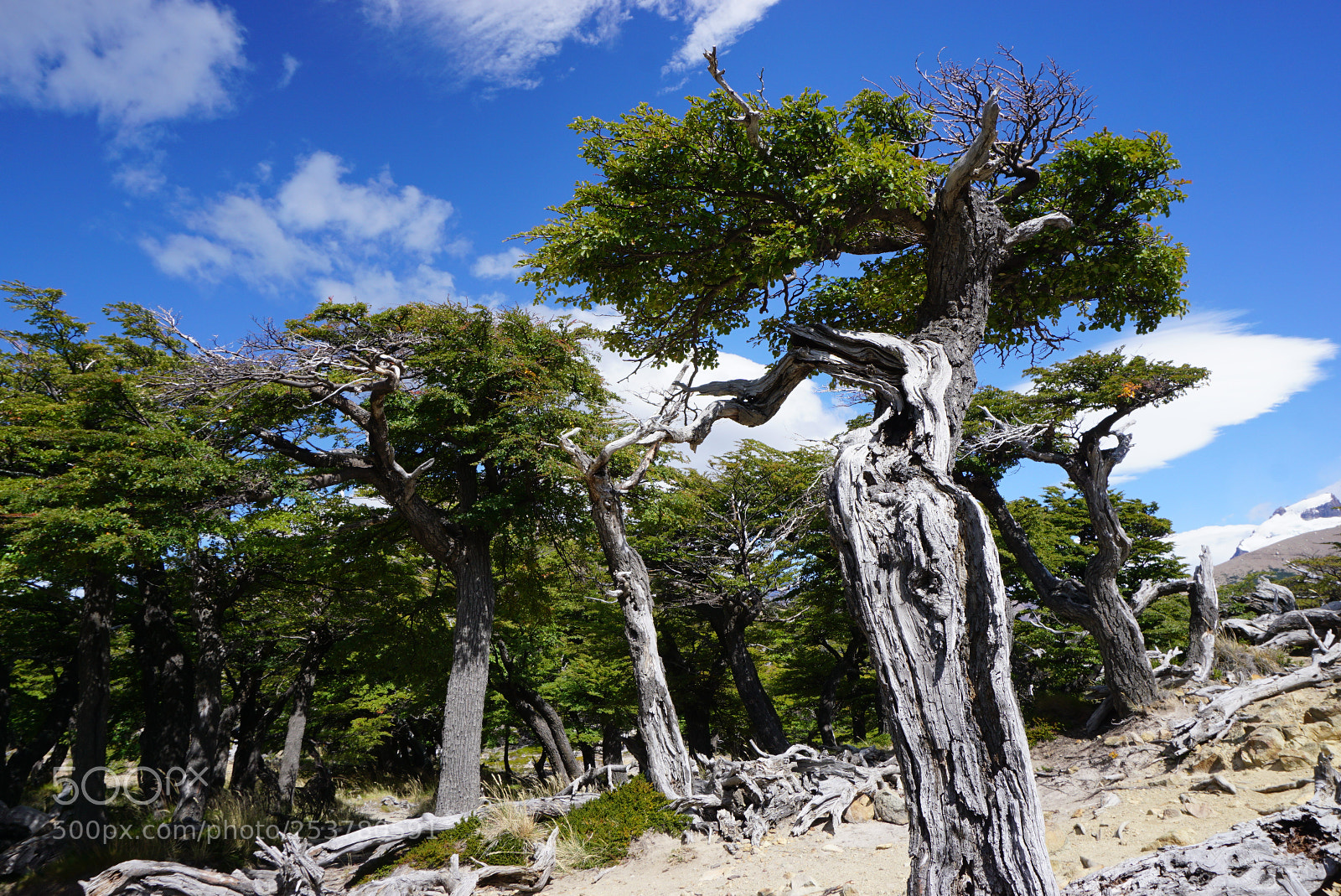 Sony a6000 sample photo. Monte fitz roy patagonia photography