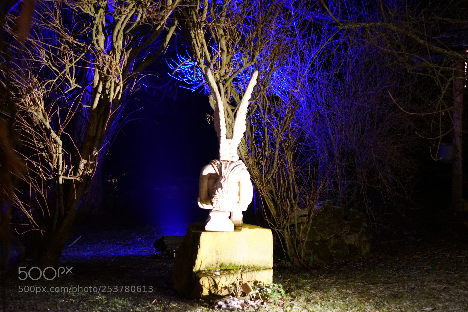 Sony SLT-A68 sample photo. Untitled photography