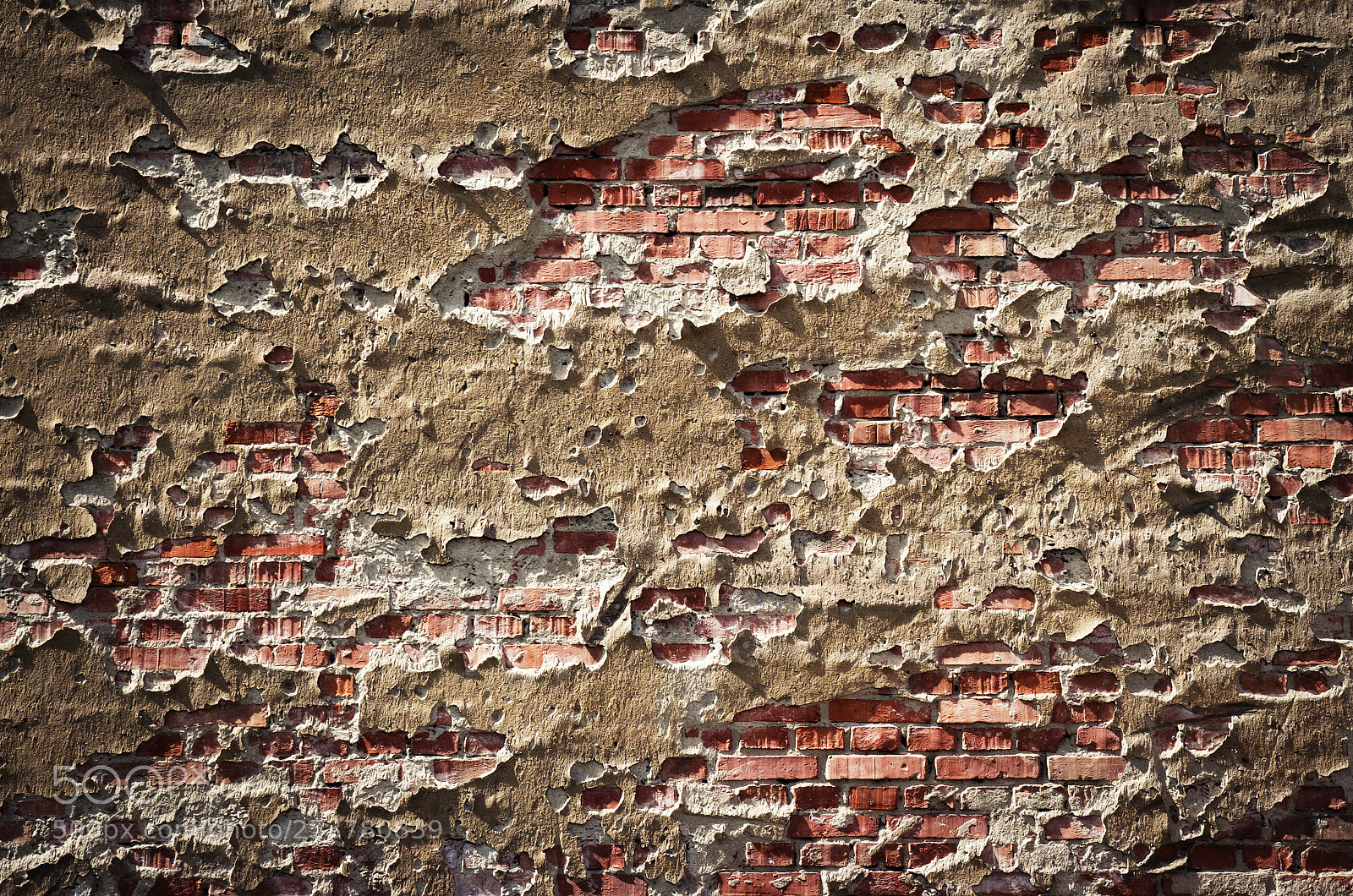 Nikon D5500 sample photo. Old wall with fallen photography