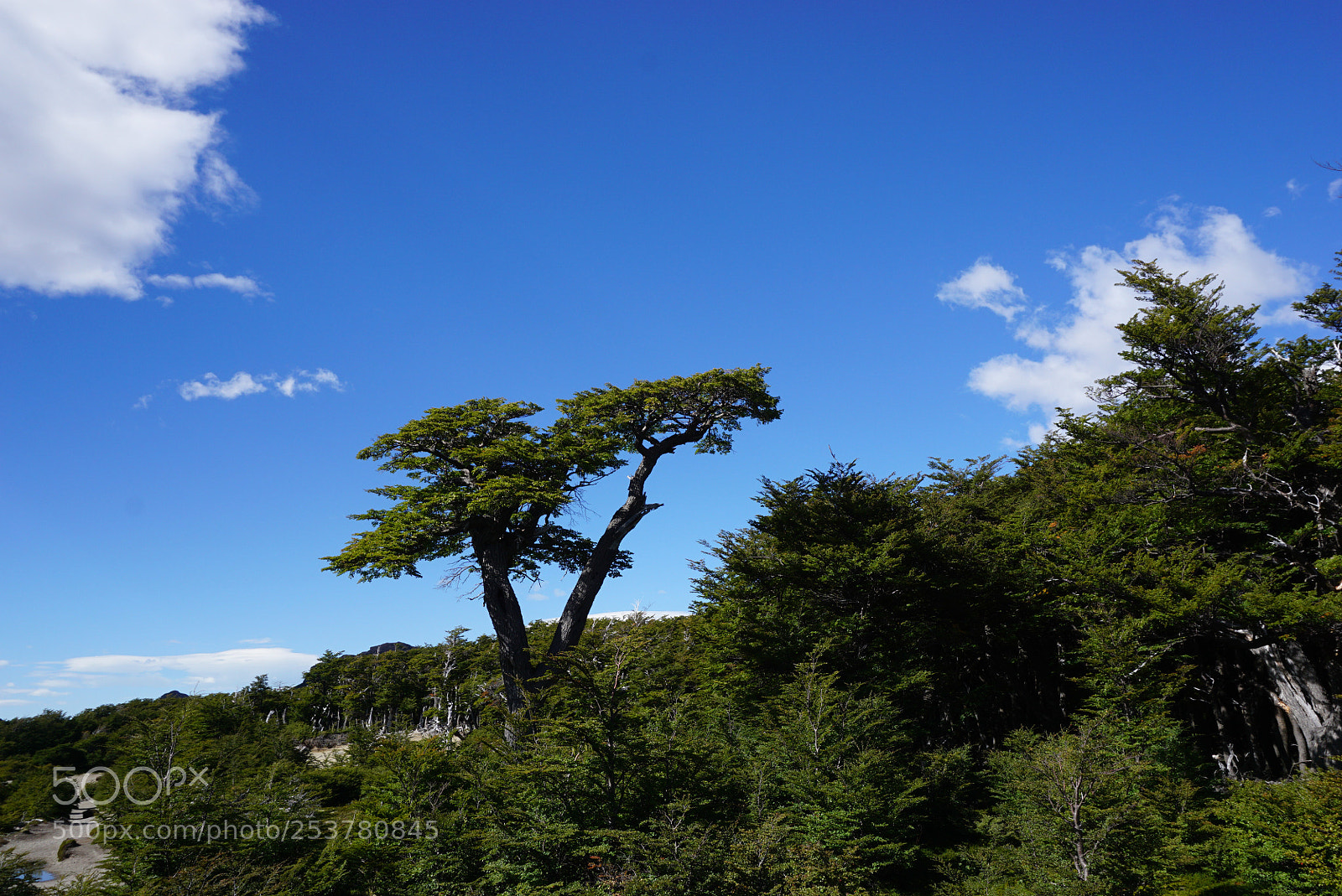 Sony a6000 sample photo. Monte fitz roy patagonia photography