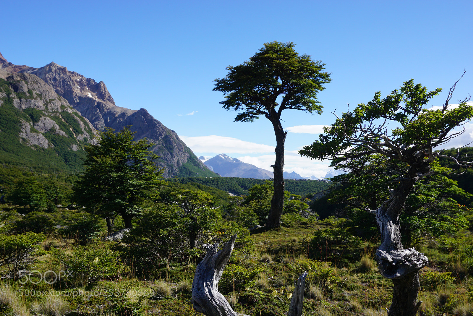 Sony a6000 sample photo. Monte fitz roy patagonia photography
