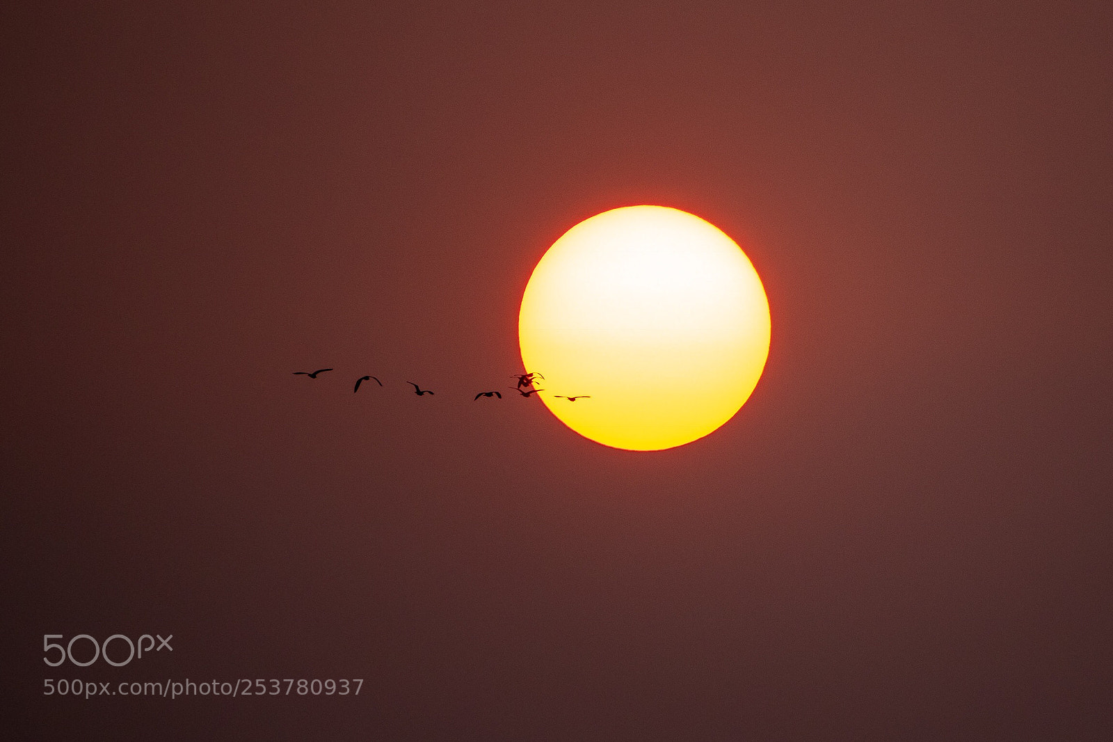 Sony Cyber-shot DSC-RX10 III sample photo. Sunset photography